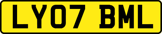 LY07BML