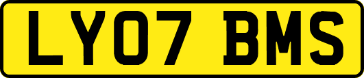 LY07BMS