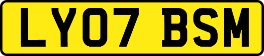 LY07BSM