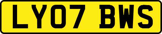 LY07BWS