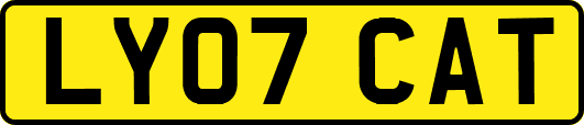 LY07CAT