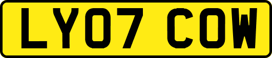LY07COW