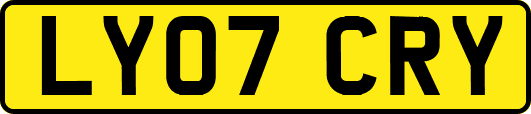 LY07CRY
