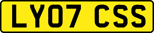 LY07CSS
