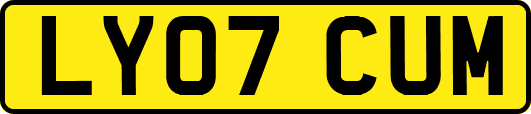 LY07CUM