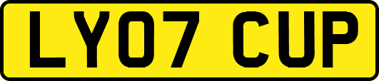 LY07CUP