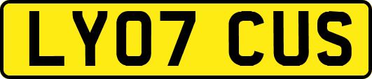 LY07CUS