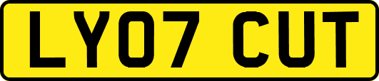 LY07CUT