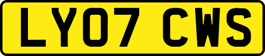 LY07CWS