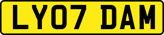 LY07DAM