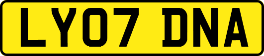 LY07DNA