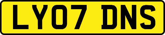 LY07DNS