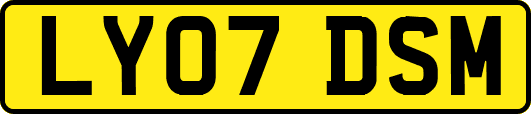 LY07DSM