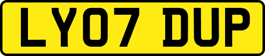 LY07DUP