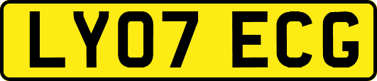 LY07ECG