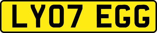 LY07EGG