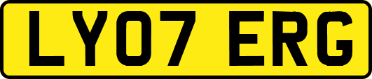 LY07ERG