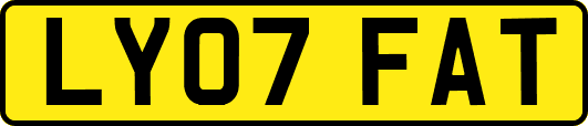 LY07FAT