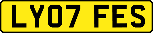 LY07FES
