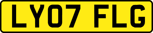 LY07FLG