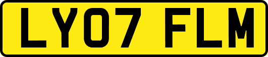 LY07FLM