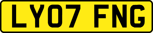 LY07FNG