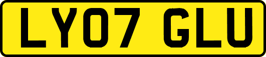 LY07GLU