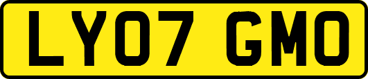 LY07GMO