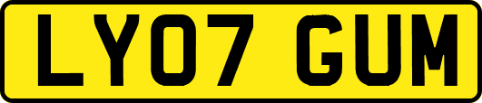 LY07GUM