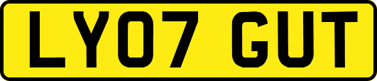LY07GUT