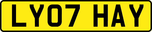 LY07HAY