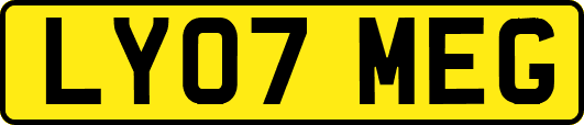 LY07MEG