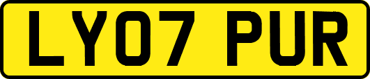 LY07PUR
