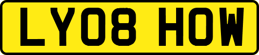 LY08HOW