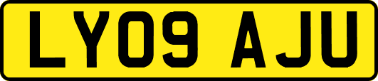 LY09AJU