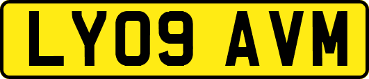 LY09AVM