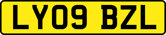 LY09BZL