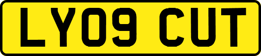 LY09CUT