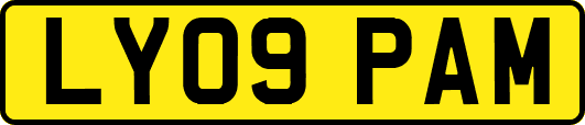 LY09PAM