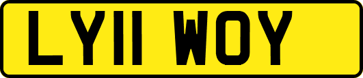 LY11WOY