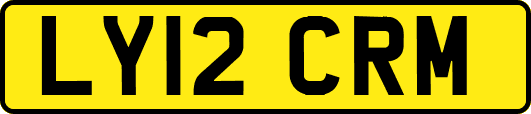 LY12CRM