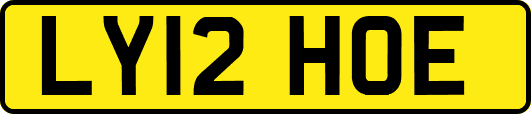 LY12HOE