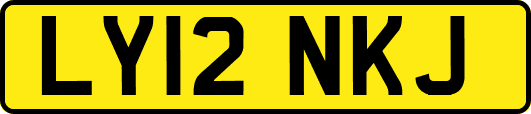 LY12NKJ