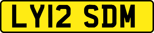 LY12SDM