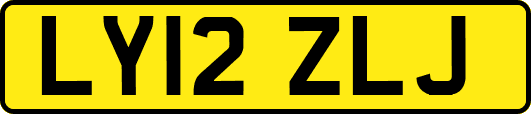 LY12ZLJ
