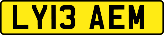 LY13AEM