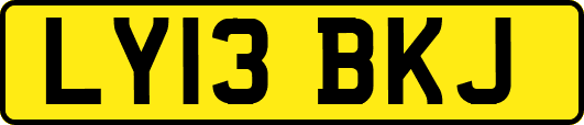 LY13BKJ
