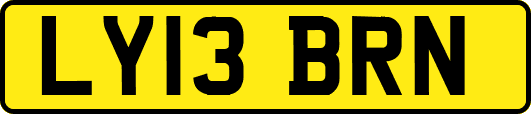 LY13BRN