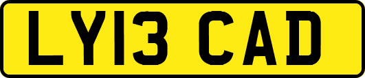 LY13CAD