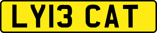 LY13CAT